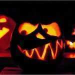 Lustige Kürbisgesichter Vorlagen Hübsch Halloween Kürbisse — Rezepte Suchen