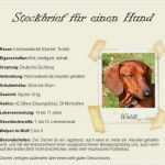 Lustiger Steckbrief Vorlage Genial Lustiger Steckbrief Vorlage Schön Steckbriefe Julia Und