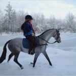 Lvm Versicherung Kündigung Vorlage Beste Gut Goldbach Gut Goldbach Sattlerei Und Zubehör Für