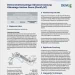 Machbarkeitsstudie Vorlage Word Cool Projektsteckbriefe