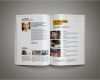 Magazin Vorlage Indesign Süß Professional Magazine Template Inkdesign Age themes