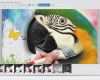 Magix Web Designer Vorlagen Kostenlos Elegant Bildbearbeitungsprogramm Kostenlos En Magix Foto