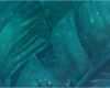 Magix Web Designer Vorlagen Kostenlos Inspiration Design software Kostenlos En – Xara Designer Pro X