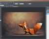 Magix Web Designer Vorlagen Kostenlos Inspiration Magix Foto & Grafik Designer 12 Download Chip