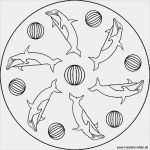 Mal Bilder Vorlagen Luxus Ausmalbilder Delphin Kostenlos Malvorlagen Zum