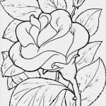 Mal Bilder Vorlagen Neu Ausmalbilder Blumen 12