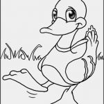 Malbuch Vorlagen Zum Ausdrucken Erstaunlich Malbuch Malvorlagen Zum Ausdrucken Und Ausmalen