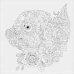 Malbuch Vorlagen Zum Ausdrucken Fabelhaft Blumen Malbuch