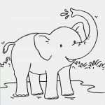 Malbuch Vorlagen Zum Ausdrucken Genial Charmant Malbuch Tiere Galerie Ideen Vorlagen Zum Ausmalen