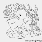 Malbuch Vorlagen Zum Ausdrucken Genial Malbuch Frühling Und Ostern