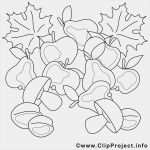 Malbuch Vorlagen Zum Ausdrucken Großartig 018 Herbstblatter Zum Ausmalen Und Ausdrucken Malbuch