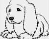 Malbuch Vorlagen Zum Ausdrucken Luxus F R Kinder Malvorlagen Und Malbuch Hunde Bilder Zum