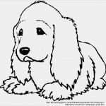 Malbuch Vorlagen Zum Ausdrucken Luxus F R Kinder Malvorlagen Und Malbuch Hunde Bilder Zum