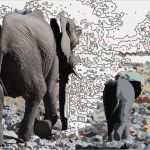 Malen Nach Zahlen Vorlage Erstellen Erstaunlich Color Your