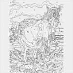 Malen Nach Zahlen Vorlage Erstellen Luxus Malvorlagen Malen Nach Zahlen Erwachsene
