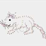 Malen Nach Zahlen Vorlagen Ausdrucken Gratis Fabelhaft Malen Nach Zahlen Malvorlagen Ausdrucken