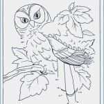 Malen Nach Zahlen Vorlagen Ausdrucken Gratis Wunderbar Malen Nach Zahlen Vorlagen Kostenlos Ausdrucken Frais