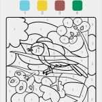 Malen Nach Zahlen Vorlagen Erwachsene Kostenlos Luxus Ausmalbild Malen Nach Zahlen Vogel Ausmalen Kostenlos