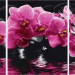 Malen Nach Zahlen Vorlagen Selbst Erstellen Erstaunlich Schipper orchideen Triptychon Malen Nach Zahlen