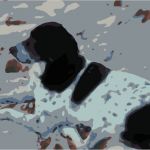 Malen Nach Zahlen Vorlagen Selbst Erstellen Luxus Color Your