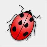 Marienkäfer Vorlage Zum Ausdrucken Best Of Kostenlose Malvorlagen Window Color Fensterbilder Zum