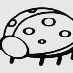 Marienkäfer Vorlage Zum Ausdrucken Beste Marienkäfer Vorlage Zum Ausdrucken Beste Schöne