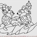 Marienkäfer Vorlage Zum Ausdrucken Cool Marienkäfer Vorlage Zum Ausdrucken Süß Beste Marienkäfer