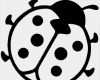 Marienkäfer Vorlage Zum Ausdrucken Erstaunlich Marienkafer Malvorlagen Kostenlos Zum Ausdrucken