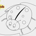 Marienkäfer Vorlage Zum Ausdrucken Großartig Ausmalbild Marienkäfer Ausmalbilder sommer