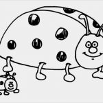 Marienkäfer Vorlage Zum Ausdrucken Großartig Ausmalbilder Malvorlagen – Marienkäfer Kostenlos Zum