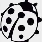 Marienkäfer Vorlage Zum Ausdrucken Hübsch Marienkäfer Bilder Zum Ausmalen Gallery Zalaces