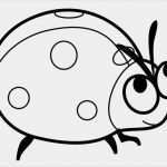 Marienkäfer Vorlage Zum Ausdrucken Inspiration Ausmalbilder Zum Ausdrucken Gratis Malvorlagen Marienkäfer 3