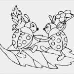 Marienkäfer Vorlage Zum Ausdrucken Neu Druckbar Marienkäfer Vorlage Zum Ausdrucken Färbung