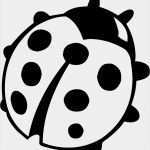 Marienkäfer Vorlage Zum Ausdrucken Neu Fein Marienkäfer Ausmalbilder Zeitgenössisch Beispiel
