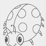 Marienkäfer Vorlage Zum Ausdrucken Wunderbar Ausmalbilder Marienkäfer Malvorlagen Ausdrucken 3