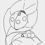 Marienkäfer Vorlage Zum Ausdrucken Wunderbar Malvorlagen Zum Ausmalen Ausmalbilder Marienkäfer Gratis 4