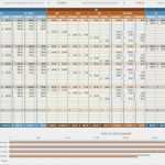 Marketing Budget Excel Vorlage Neu Capex Template