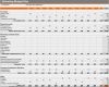 Marketing Budget Vorlage Bewundernswert Marketing Plan Bud Template From Microsoft