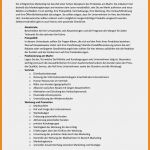 Marketingkonzept Beispiel Vorlage Einzigartig 9 Marketingkonzept Muster