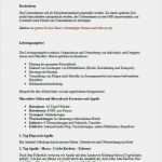 Marketingkonzept Beispiel Vorlage Luxus 9 Marketingkonzept Muster