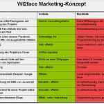 Marketingkonzept Erstellen Vorlage Angenehm Line Marketing Konzept Vorlage Erstaunlich Wi2face