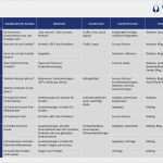 Marketingkonzept Erstellen Vorlage Genial 8 Marketingkonzept Beispiel