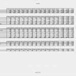 Marktanalyse Vorlage Excel Bewundernswert Businessplan Vorlage Pdf