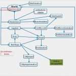 Marktanalyse Vorlage Pdf Wunderbar Wettbewerbsanalyse Untersuchen Sie Das Angebot