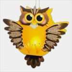 Martinslaterne Basteln Vorlagen Angenehm Laterne Basteln Eule