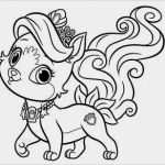 Martinslaterne Vorlage Erstaunlich Gallery Of Auslagenabrechnung Praxisbedarf Shop Buchner