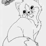 Masken Vorlagen Zum Ausdrucken Kostenlos Erstaunlich Ausmalbilder Kostenlos 08 Kinder Pinterest