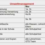 Maßnahmenplan Sis Vorlage Einzigartig Umweltzeichen Maßnahmenplan Seit 2012 Vshoenigtals Webseite