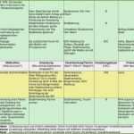 Maßnahmenplan Vorlage Pflege Süß Maßnahmenplan Vorlage Pflege Erstaunliche Maßnahmenplan