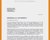 Max Mustermann Bewerbung Vorlage Angenehm 15 Max Mustermann Bewerbung
